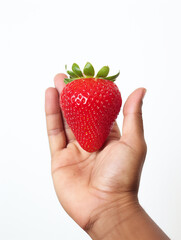 Obraz premium Holding a strawberry in his hand, against a white background сreated with Generative Ai