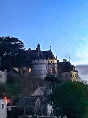 Naklejka premium Castillos, Palacios y Jardines del valle de loira jardin de francia