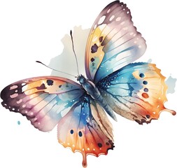 Abstract multi-colored watercolor butterfly - 765156525
