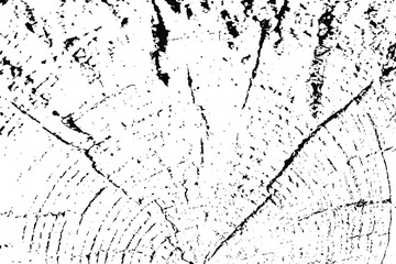Vector tree rings overlay background in black white and saw cut tree trunk. Grunge nature background design elements.