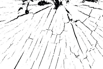 Vector tree rings overlay background in black white and saw cut tree trunk. Grunge nature background design elements.