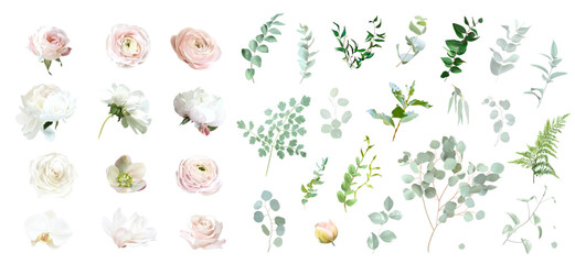 Pink rose, white peony, magnolia, blush pink ranunculus, eucalyptus, hellebore, orchid, greenery vector design spring set. Floral summer watercolor. Wedding blooms. Elements are isolated and editable