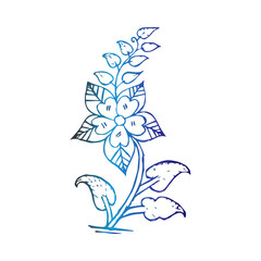 hand drawn flower illustration in adobe illustrator  