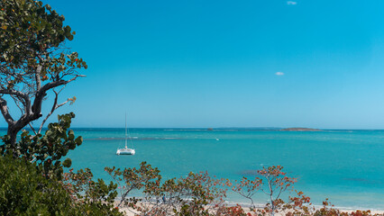 Beautiful tropical beach banner. golden sand and tropical trees,  travel tourism wide panorama...