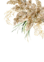 Watercolor vertical card of dry and gold pampas grass. Hand painted tropical border of exotic dry plant isolated on white background. Floral illustration for design, print, fabric or background. - 765164573