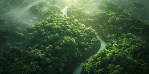 Schilderijen op glas  Aerial view of forest stream amidst lush greenery, trees and sunlight. © Usama