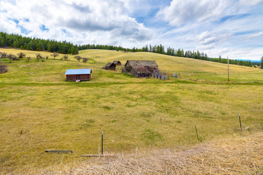A group of rustic barns and outbuildings in the rolling hills and countryside of rural Spokane, Washington, USA, on a partly cloudy day.