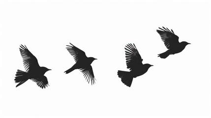 Obraz premium A flock of birds flying through the air. Suitable for nature and freedom concepts
