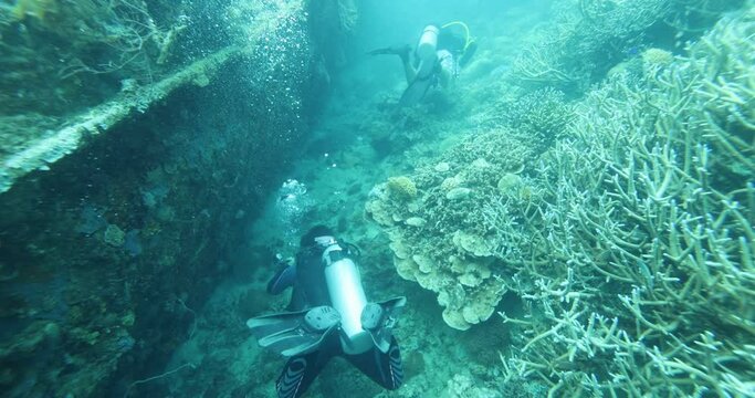 A group of divers diving towards a sunken ship in the Philippine Sea. Divers descend together around a guide rope. Divers descend into a cloud of bubbles. Summer vacation shot