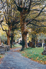 Church graveyard pathway with trees, gravestones