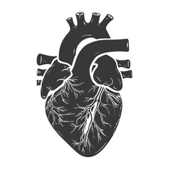 Silhouette for internal organs of heart black color only - obrazy, fototapety, plakaty