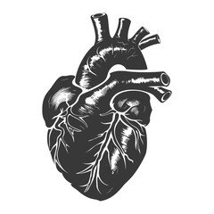 Silhouette for internal organs of heart black color only - obrazy, fototapety, plakaty