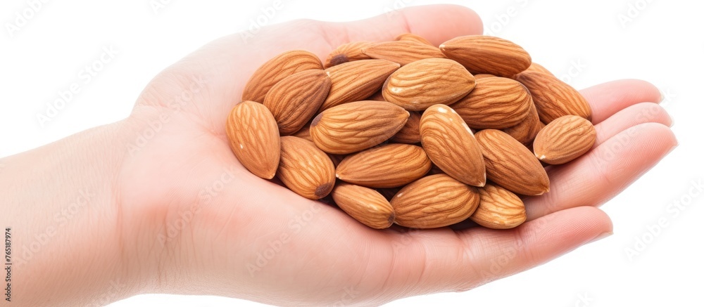 Wall mural Person grasping multiple almonds in hands