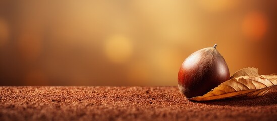 Single chestnut nut with leaf on wooden surface - obrazy, fototapety, plakaty