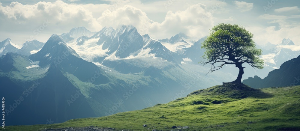 Sticker Tree on grassy hill with mountains in background