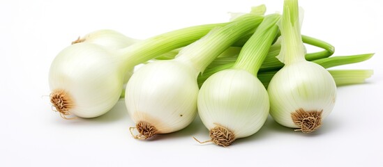 Several onions close up on a white surface