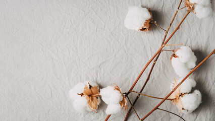 Cotton sprigs on natural cotton fabric.