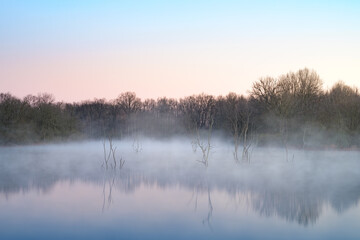 Fototapeta premium A small lake at sunrise covered with fog from the cold night. There are old dead trees in the lake. There are nice reflections in the water. 