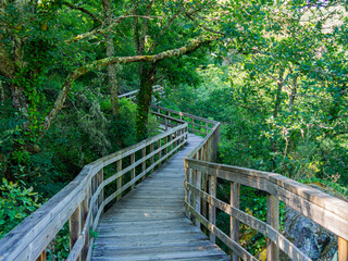 Ruta de las pasarelas de Río Mao con puente de madera rodeado de vegetación verde en un día de verano, visitando Galicia en 2021, España