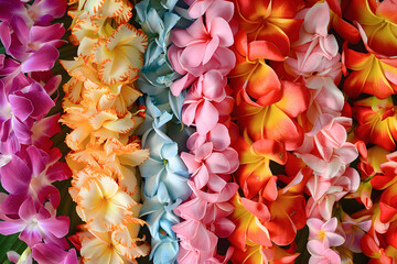 Frangipani, Jasmine, Plumeria And Orchid Tropic Flower And On Lei Day In May In Hawaii, Vivid Booming Garland Of Tropic Flowers