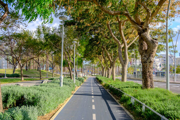 Bike lanes on Herzl Boulevard, near HaKirya Park in central Ashdod, Israel.
שבילי אופניים בשדרות הרצל, ליד גן הקריה (צפון), במרכז העיר אשדוד, ברובע הקריה (