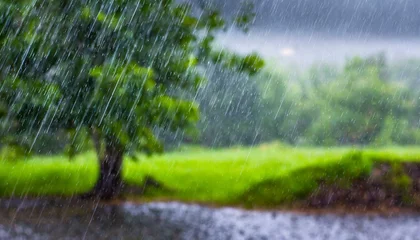 Fototapeten 雨の降る風景 © ベルベットR