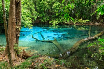 Blue Pool Turquoise Crystal Clear Spring Middle Forest Krabi Thailand