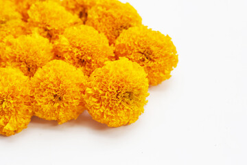 Beautiful golden yellow marigold flowers