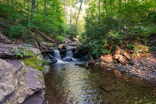 Waterfall in Dunnfield Creek Natural Area, Nature preserve in Hardwick Township, New Jersey. Part of the Delaware Water Gap National Recreation Area along the Appalachian Trail. 