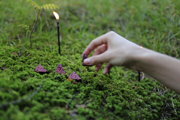 hand holding a flower runes candle magic ritual cards Toro amulet amulet fortune telling ball...