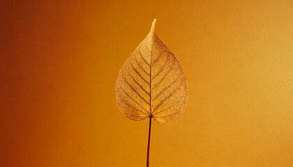 The simple elegance of a translucent veined leaf stands out against a monochromatic golden background, embodying serene beauty