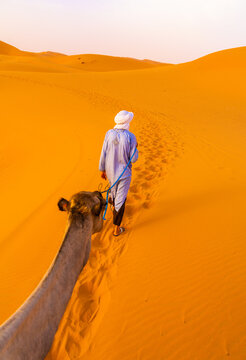 Nomad  with camel on Sahara desert.	