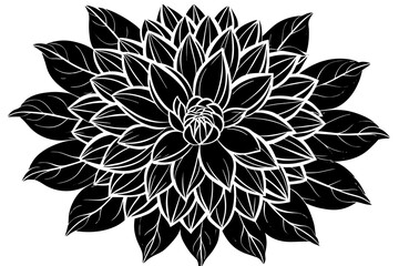 Dahlia Flower silhouette  vector art illustration