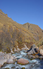 Scenic view of trees and river in the mountains in autumn