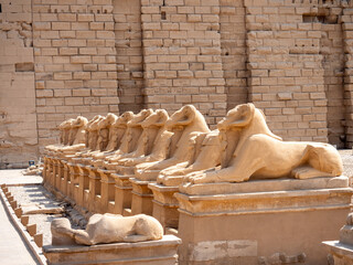 Avenue of Sphinxes at Karnak Temple in Luxor Egypt