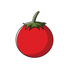 tomato illustration. vector vegetables white background.
