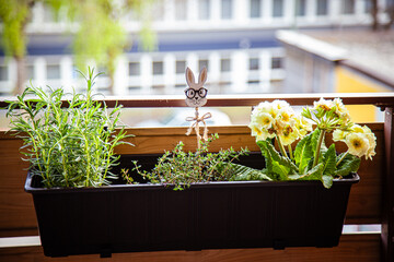 Flowerpots with herbs on the balcony are decorated for Easter