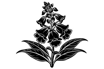 Snapdragon Flower silhouette  vector art illustration