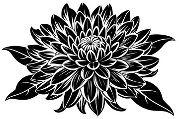 Chrysanthemum Flower silhouette  vector art illustration
