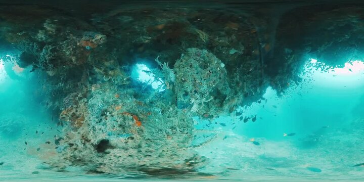 360 vr underwater footage of the tropical sea and abundant marine life of the West Papua region in Indonesia