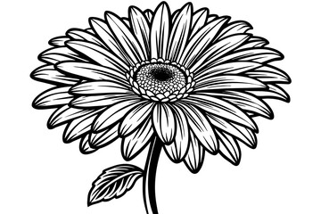 Gerbera Flower silhouette  vector art illustration