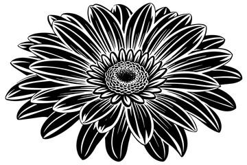 Gerbera Flower silhouette  vector art illustration