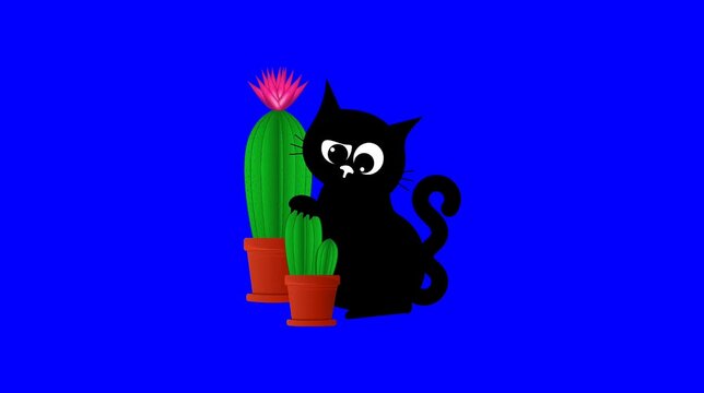 Cat Cactus animation blue screen video