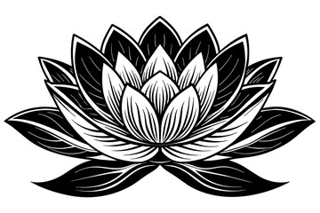 lotus Flower silhouette  vector art illustration