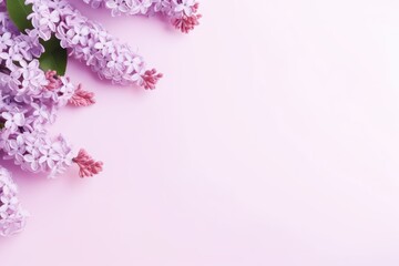 Fototapeta premium Lilac blossoms with green leaves arranged on a soft pink surface, creating a gentle springtime theme. Delicate Lilac Flowers on Pink Background