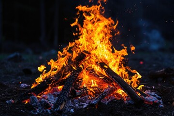 Stunning photo of roaring bonfire in winter.