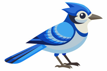 Blue Jay bird vector art illustration