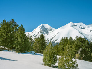 Winter mount Vihren and mount Kutelo as viewed from the opposite slopes near Konarevo mountain. 
