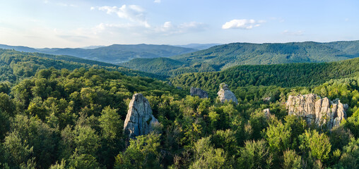 Panoramic view of bright landscape with green forest trees and big rocky boulders between dense woods in summer. Beautiful scenery of wild woodland
