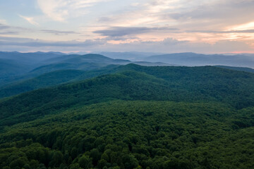 Aerial view of green pine forest with dark spruce trees covering mountain hills. Nothern woodland scenery from above